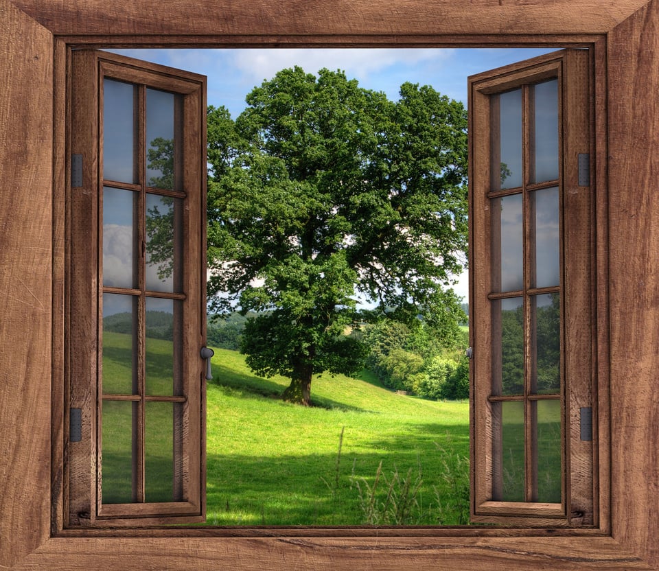 Open Window With Landscape Of Nature