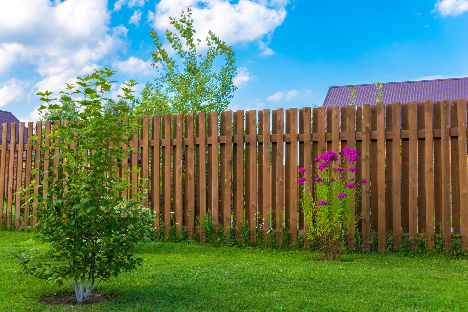 Wooden fence